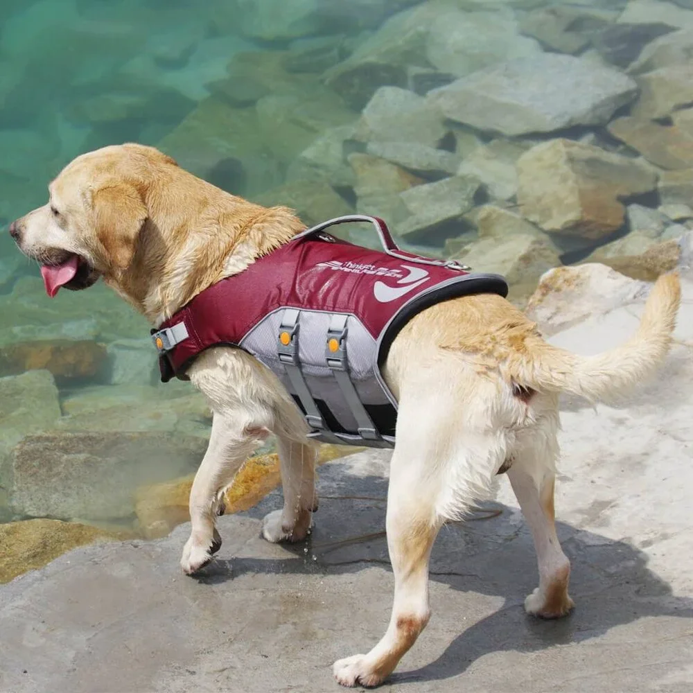 ThinkPet Dog Life Jacket, Reflective Lifesaver with Rescue Handle, RED XXL